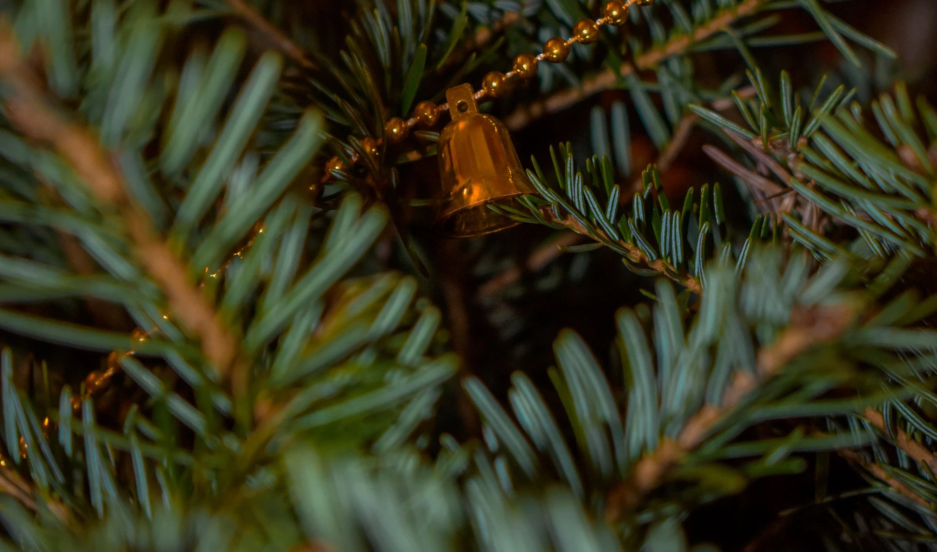 Christmas in Harmony